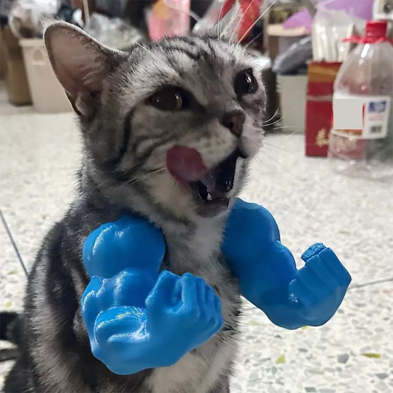 🐱💪Muskulösa händer och armar med kreativt katthalsband