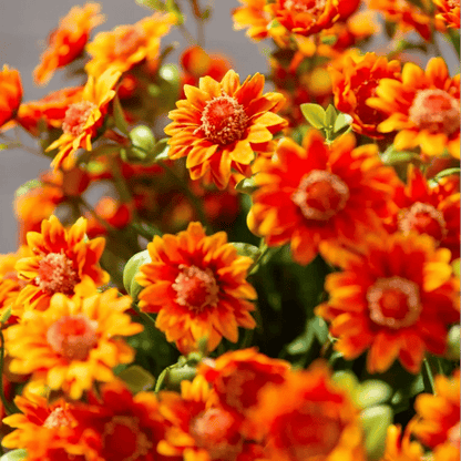 💥 Konstgjorda utomhusblommor i form av krysantemum vid solnedgången – UV-beständiga, vattentäta, vindtäta