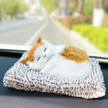 Schattig pluche katje cadeau 🐱