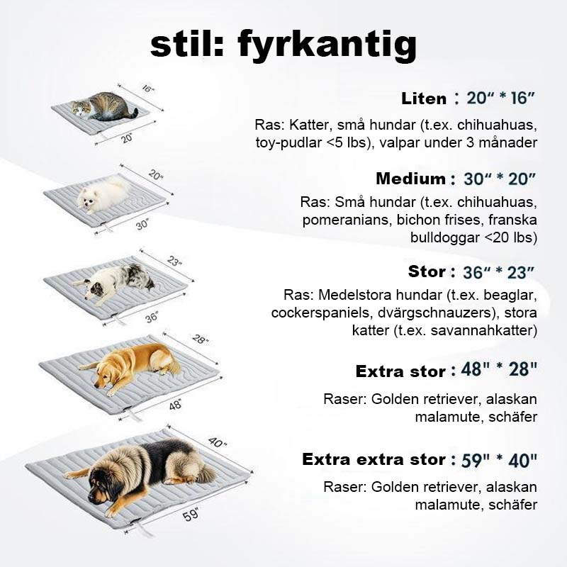 Kylande Matta För Hundar