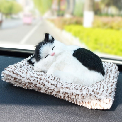 Schattig pluche katje cadeau 🐱