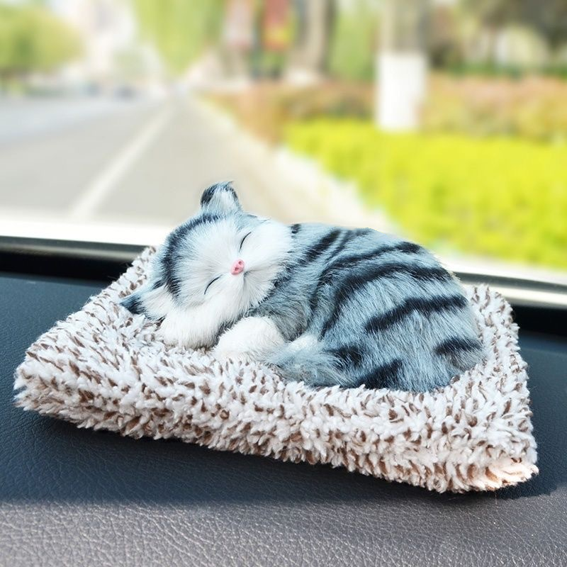 Schattig pluche katje cadeau 🐱