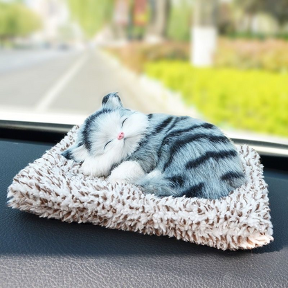 Schattig pluche katje cadeau 🐱
