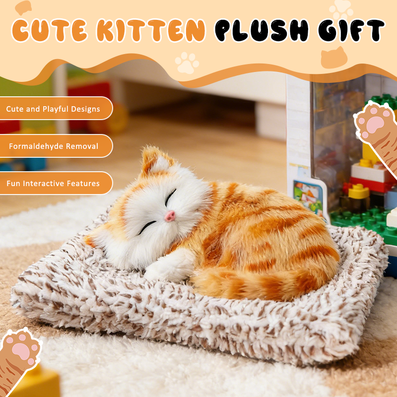 Schattig pluche katje cadeau 🐱