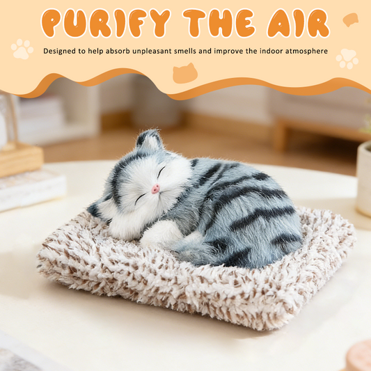 Schattig pluche katje cadeau 🐱