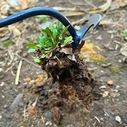 Nytt verktyg för ogräsrensning Artifact Uprooting Weeding Tool