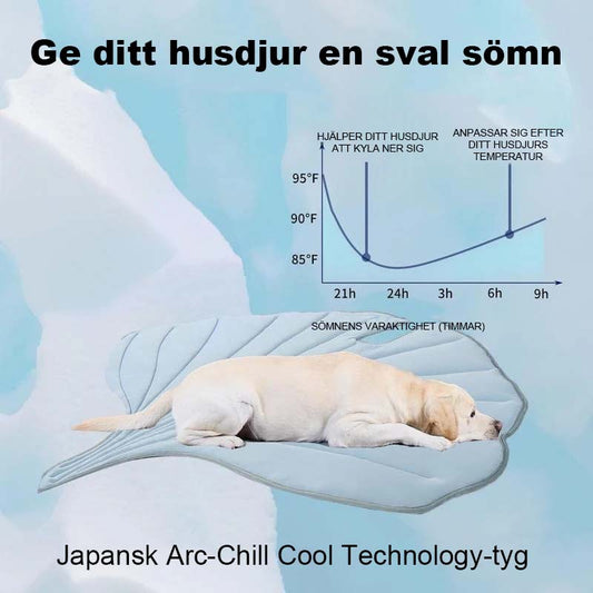 Kylande Matta För Hundar
