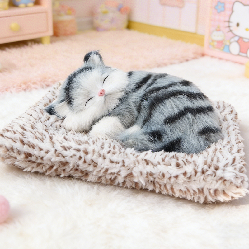 Schattig pluche katje cadeau 🐱