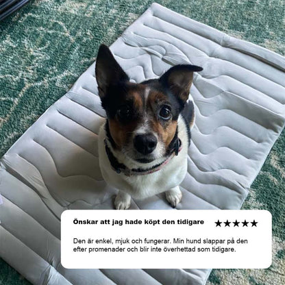 Kylande Matta För Hundar
