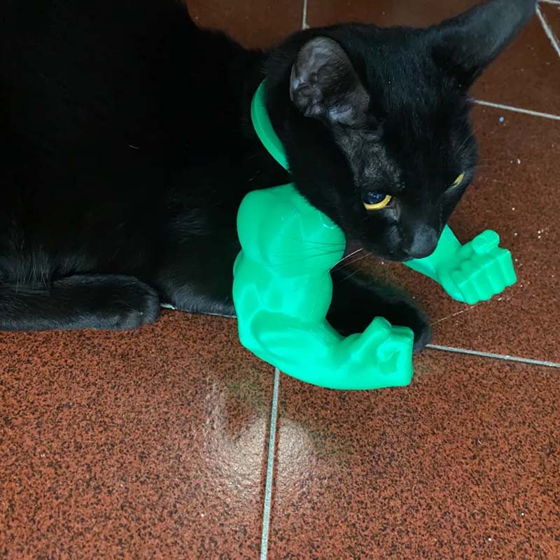🐱💪Muskulösa händer och armar med kreativt katthalsband