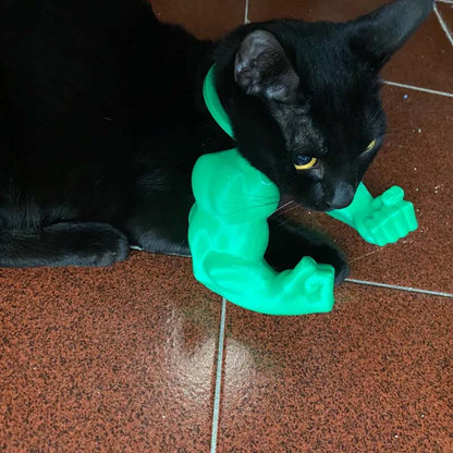 🐱💪Muskulösa händer och armar med kreativt katthalsband