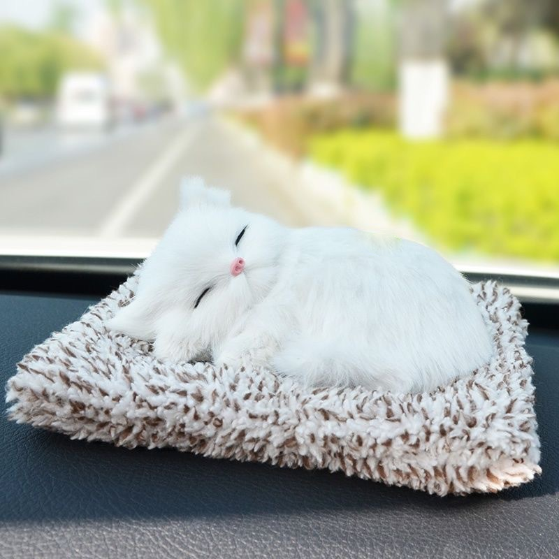 Schattig pluche katje cadeau 🐱