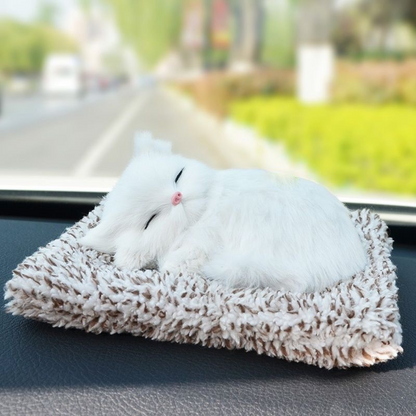 Schattig pluche katje cadeau 🐱