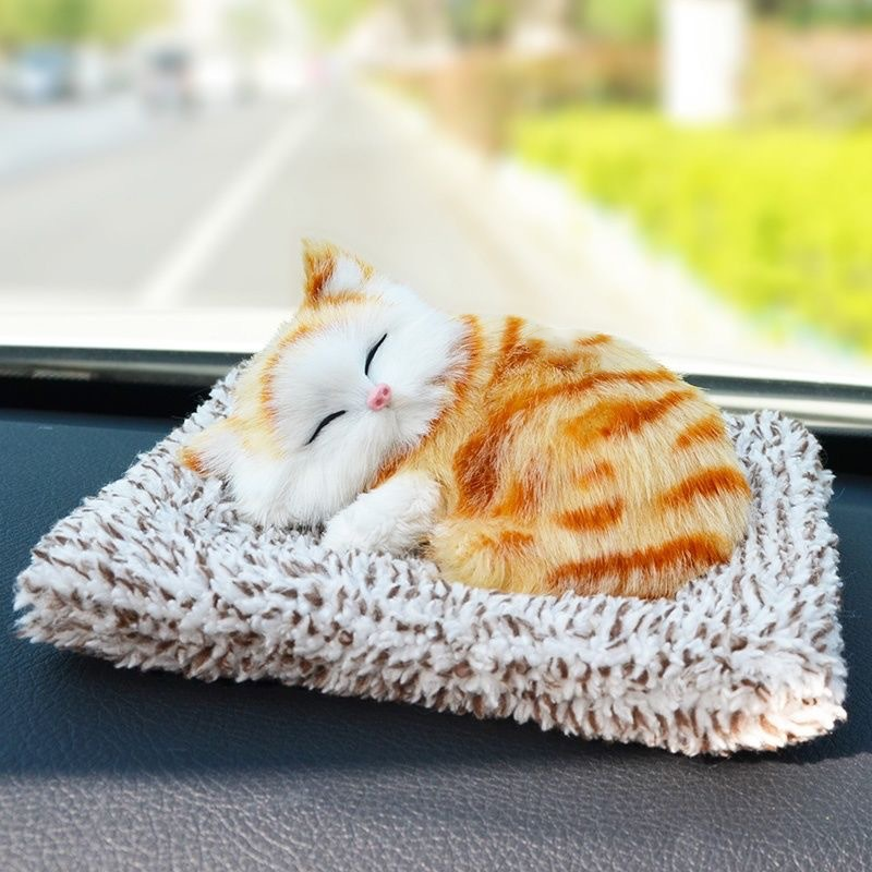 Schattig pluche katje cadeau 🐱