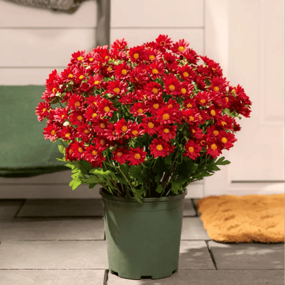 💥 Konstgjorda utomhusblommor i form av krysantemum vid solnedgången – UV-beständiga, vattentäta, vindtäta
