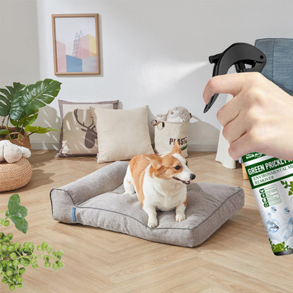 🐜 POWER INSECT REPELLENT - Instant Mosquito & Fly Control, Gentle on Skin & Odor-Free, Ideal for Home and Garden 🌿🧴